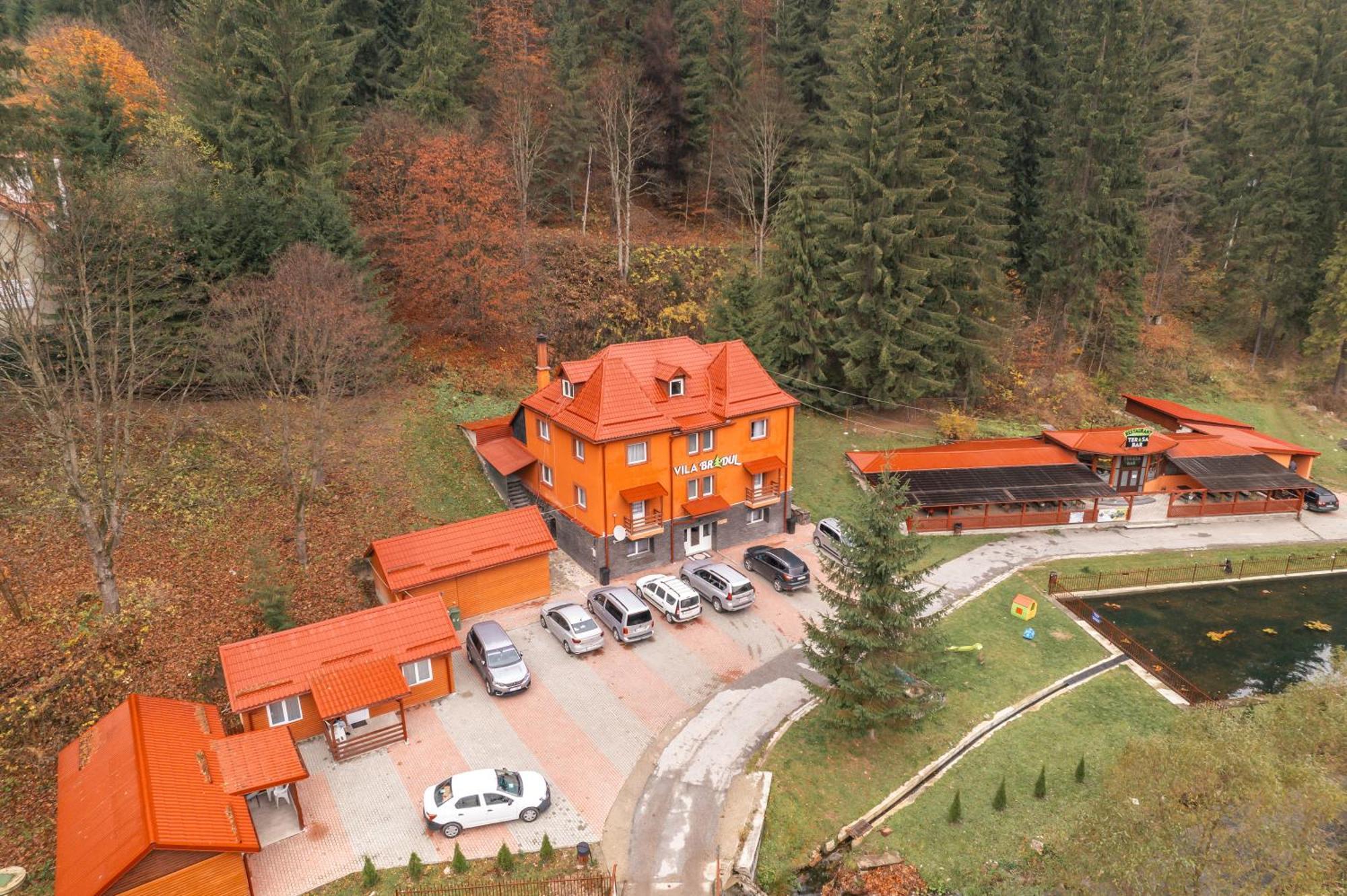 Vila Bradul Lacu Rosu Buitenkant foto